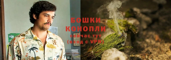 шишки Алексеевка