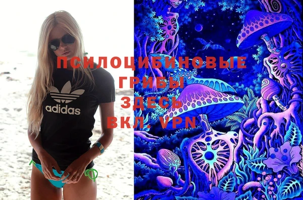 шишки Алексеевка
