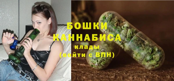 шишки Алексеевка
