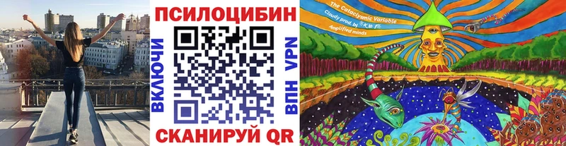 ОМГ ОМГ рабочий сайт  Томск  Псилоцибиновые грибы GOLDEN TEACHER 